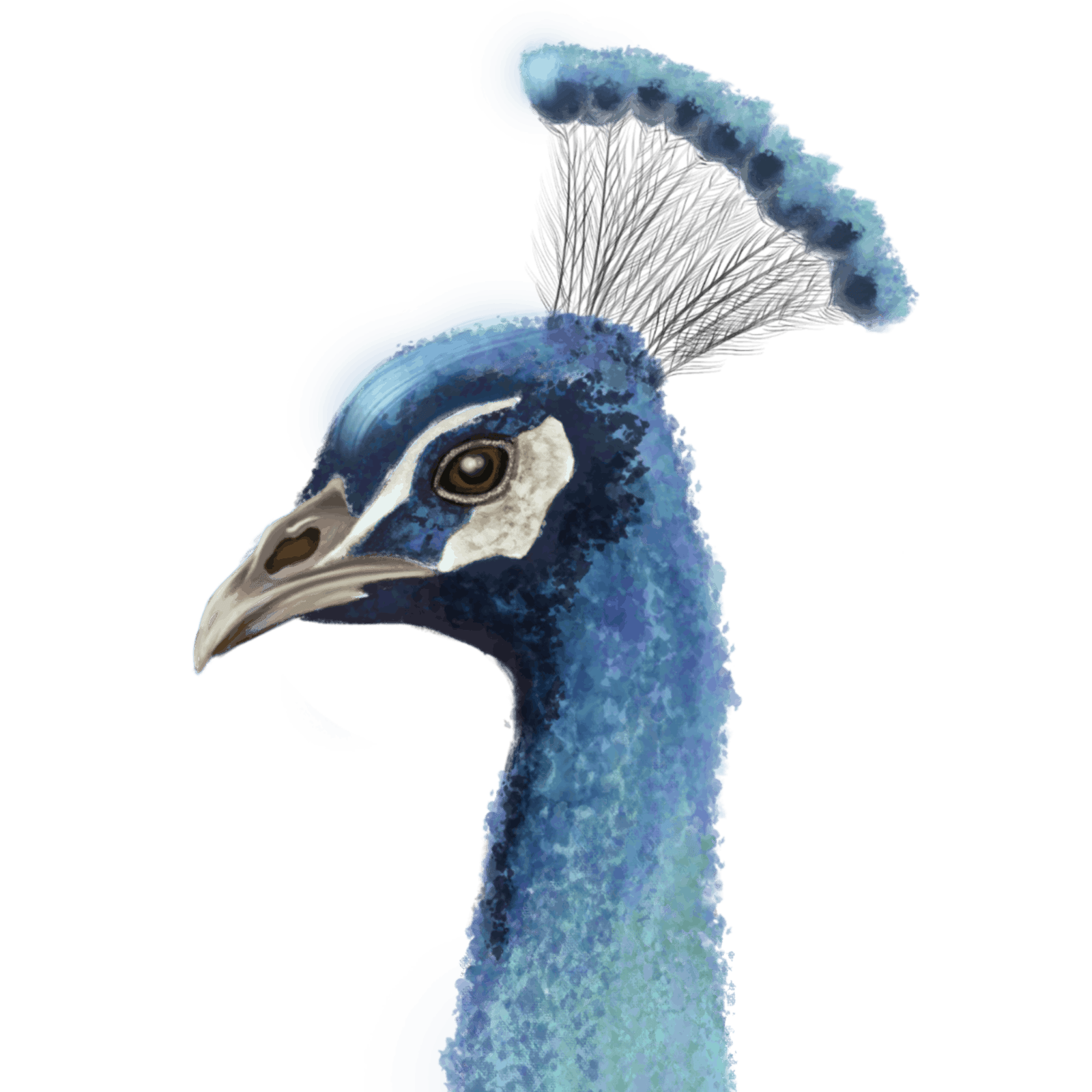 by-nieke-pauw-logo-illustratie